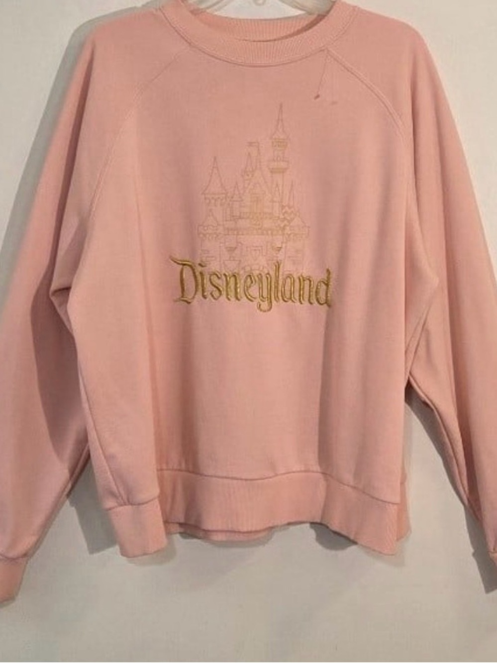 Disneyland coral  Embroidered Castle Sweatshirt